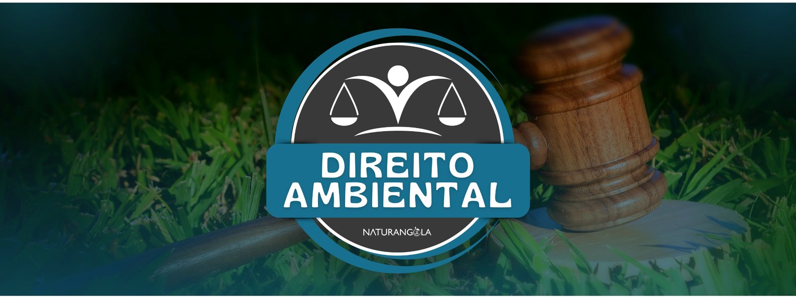 Direito Ambiental