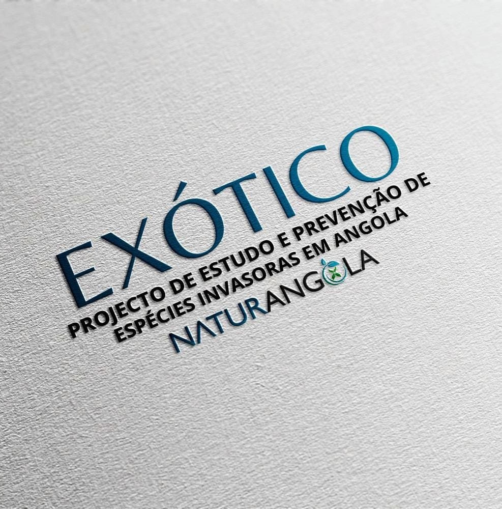 Projecto Nyoka
